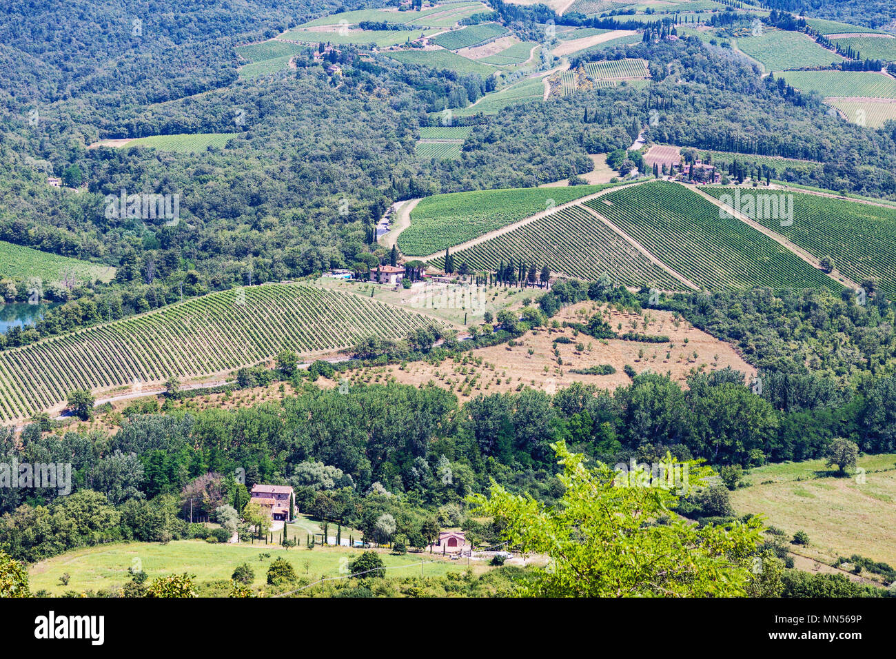 Antenna di pittoresca vista sul paesaggio toscano in estate con le piccole aziende agricole, colline e vigneti, rurali campagna italiana Foto Stock