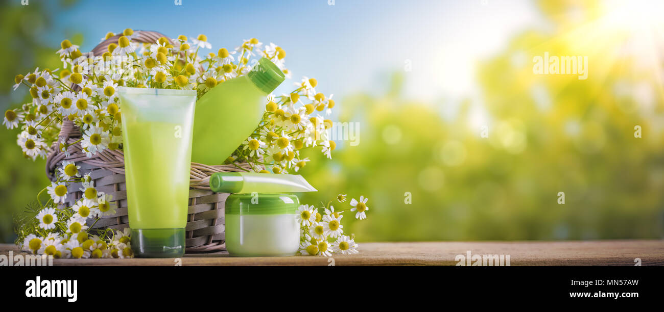 Gel per lavaggio e tonico con estratto di camomilla in bottiglia e i fiori di camomilla Foto Stock