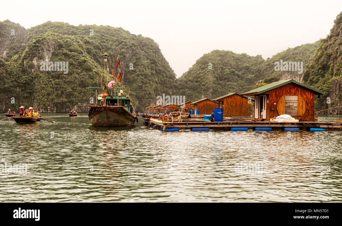 Halong Bay, Vietnam - 26 Ottobre 2017: i turisti in visita a villaggio galleggiante nella baia di Halong, Vietnam. È Patrimonio Mondiale dell'Unesco e più visitato p Foto Stock