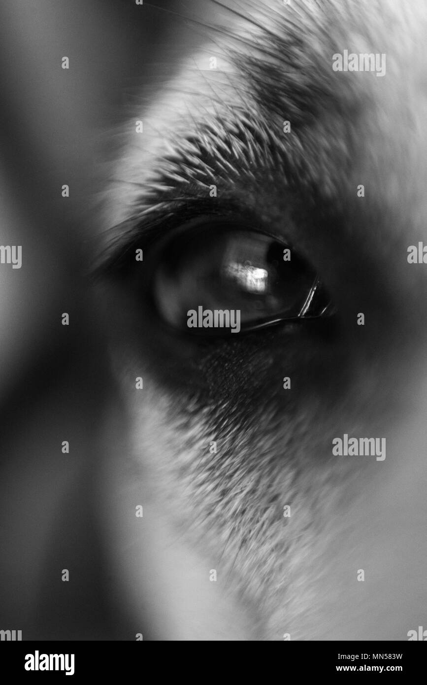 La natura e la sua bellezza Foto Stock