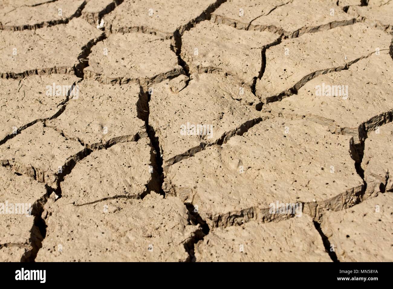 Terreno argilloso secco, incrinato, Sussex, Regno Unito Foto Stock