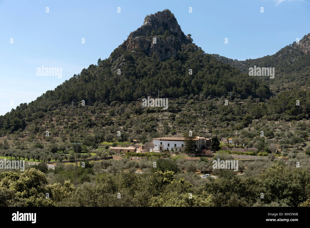 Valle di Soller nella Serra de Tramuntana montagne, nord di Mallorca, Spagna. 2018. Un agriturismo olve Foto Stock
