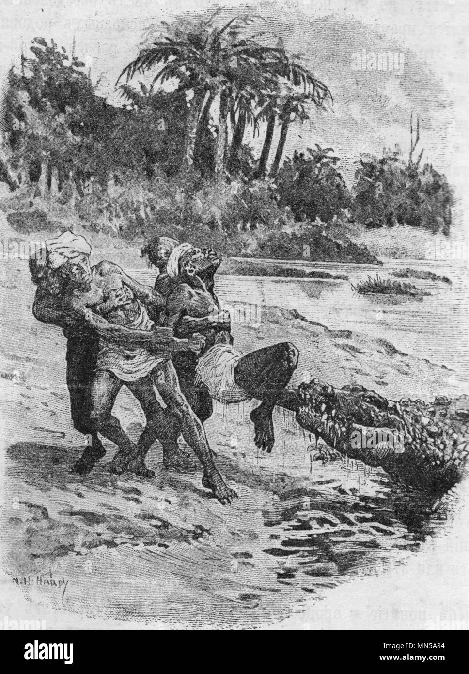 Crocodile attaccando. Avventura vintage illustrazioni incise. Pubblicato nella rivista nel 1900. Foto Stock