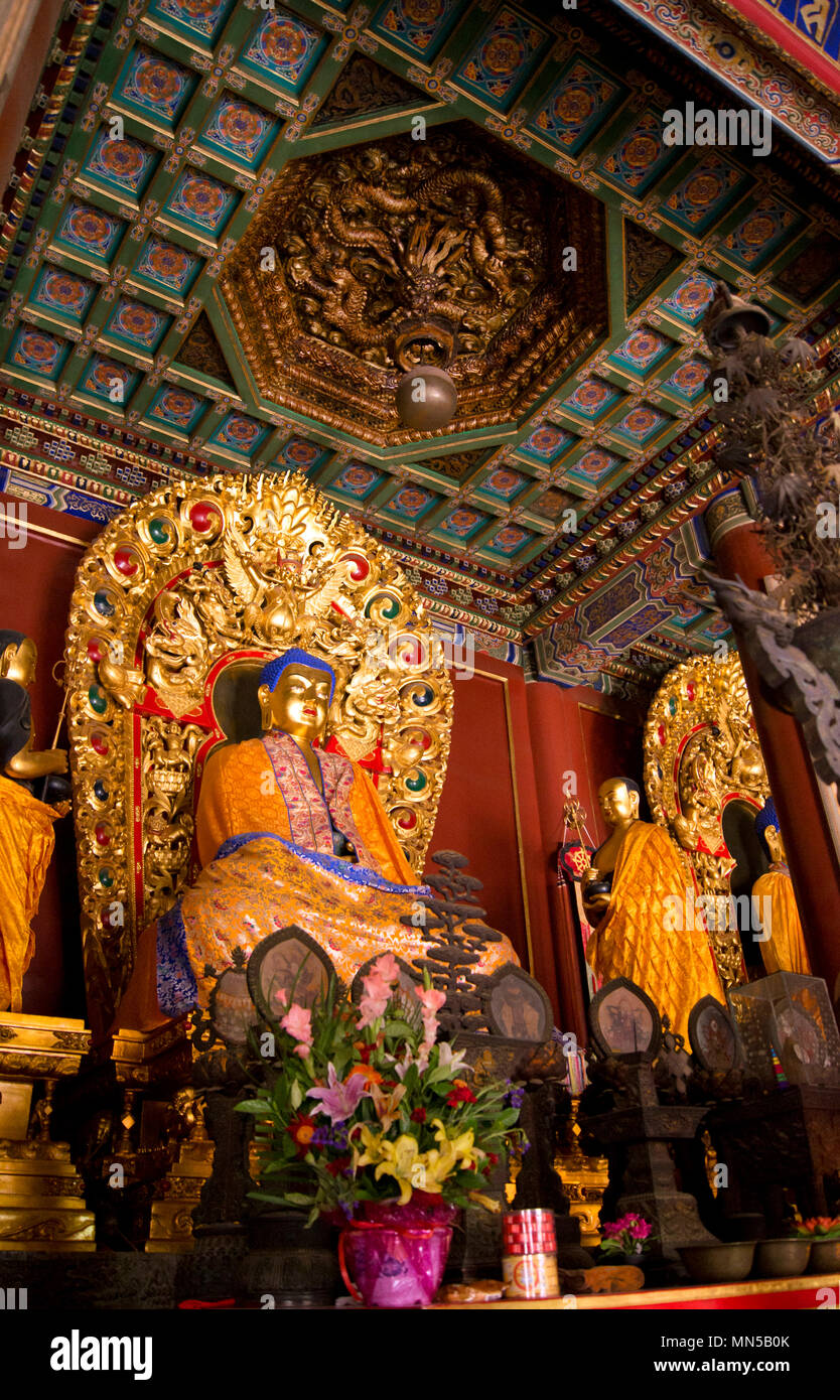 Il interni colorati di un tempio presso il centro storico di Tempio di Yonghegong a Pechino in Cina, con divinità seduto e altri iconografia religiosa. Foto Stock