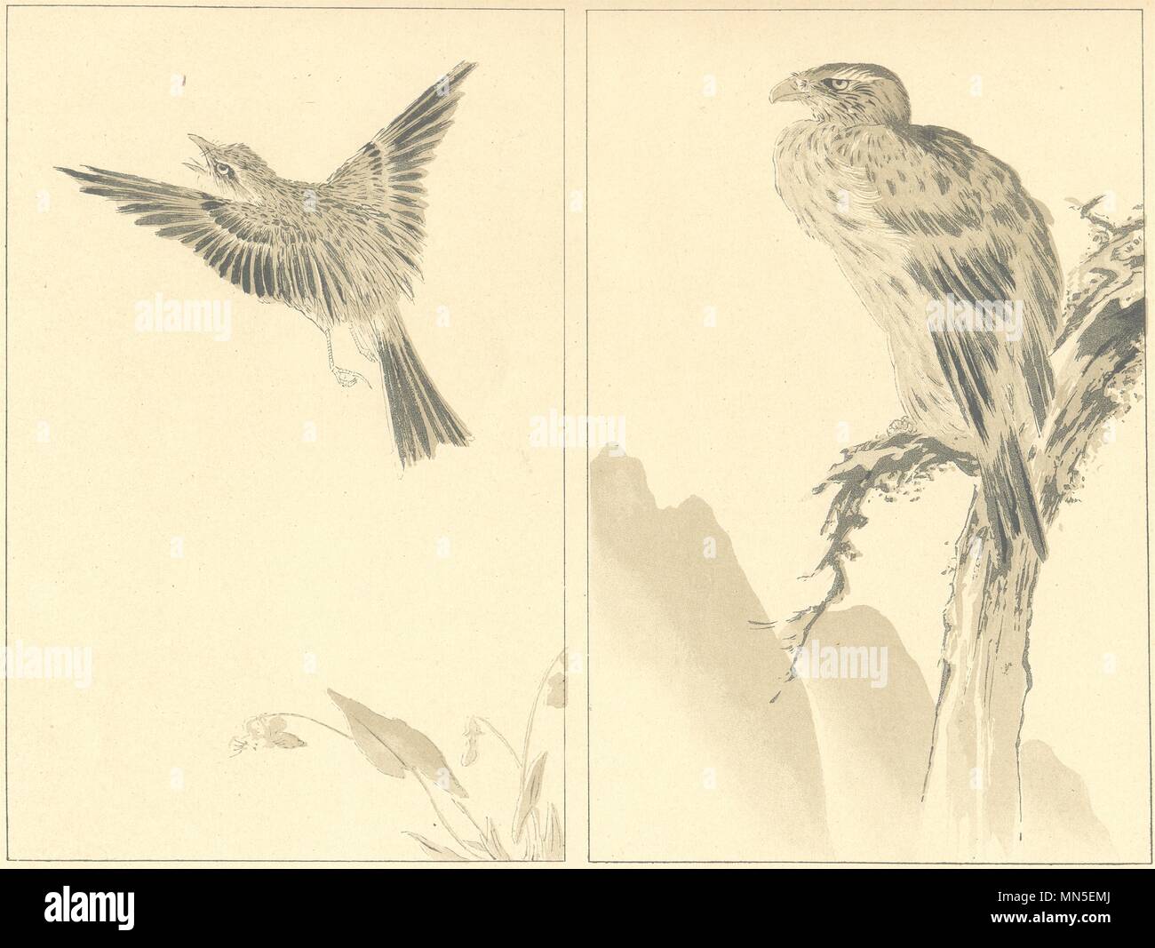 Il Giappone. Due uccelli. Anonimo Studio 1890 antica vintage delle immagini di stampa Foto Stock