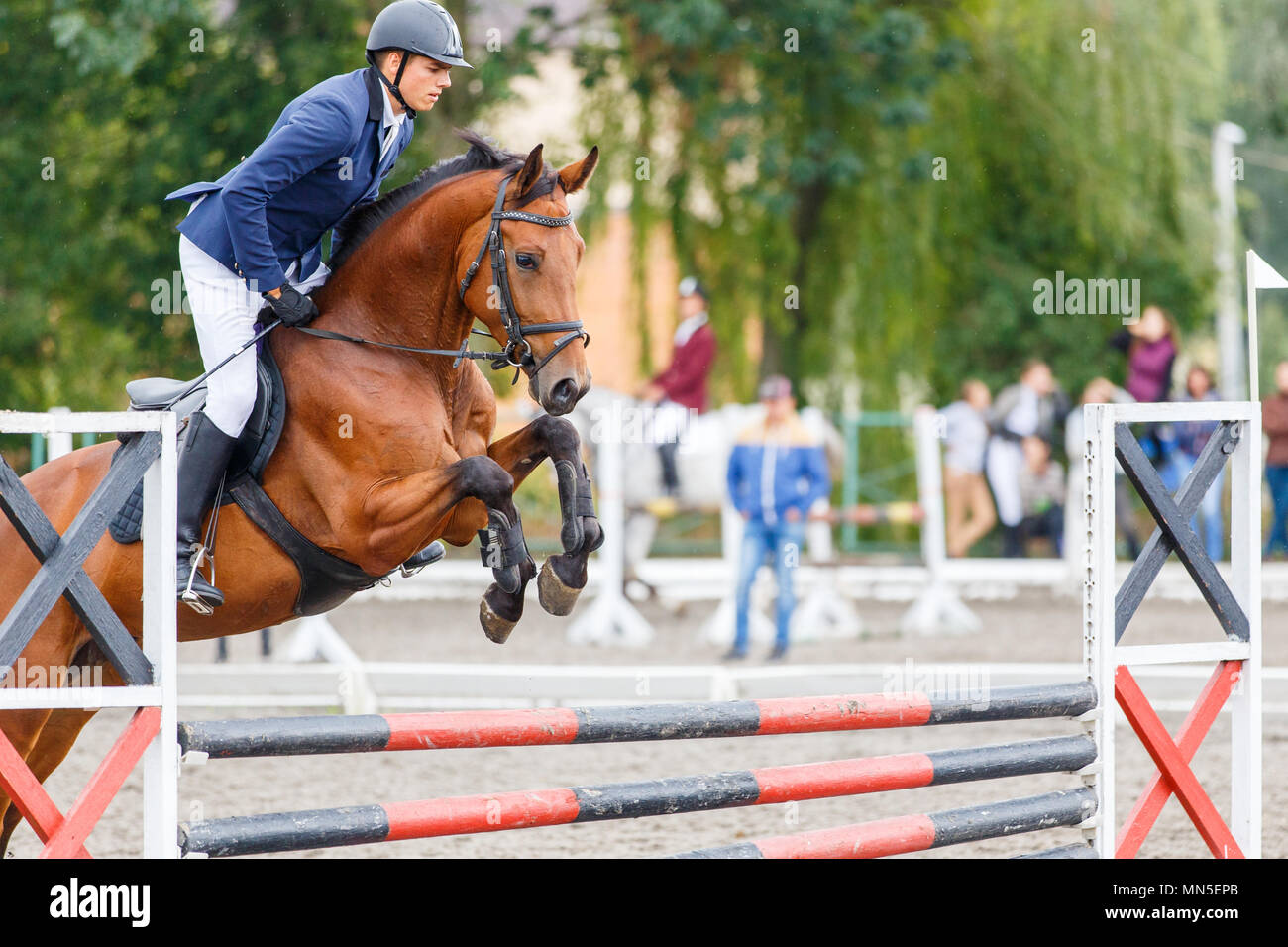 Pilota giovane uomo di saltare sul cavallo sopra un ostacolo su show jumping concorrenza Foto Stock