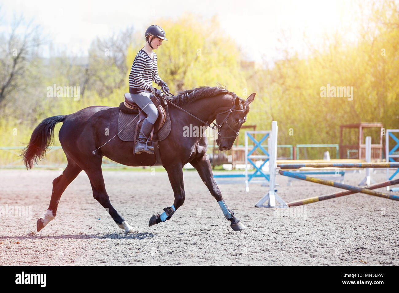 Ragazza giovane di equitazione per il suo corso di formazione show jumping. Sport Equestri background di formazione Foto Stock