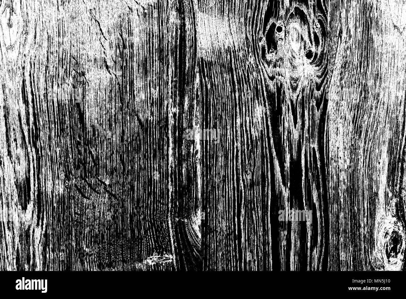 Sfondo nero di wild oak struttura Foto Stock
