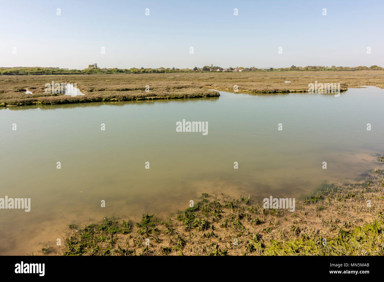 Il lato ovest del porto Pagham Riserva Naturale, West Sussex, Regno Unito. Foto Stock Il lato ovest del porto Pagham Riserva Naturale, West Sussex, Regno Unito. Foto Stock