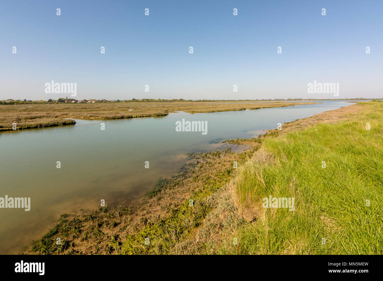 Il lato ovest del porto Pagham Riserva Naturale, West Sussex, Regno Unito. Foto Stock Il lato ovest del porto Pagham Riserva Naturale, West Sussex, Regno Unito. Foto Stock