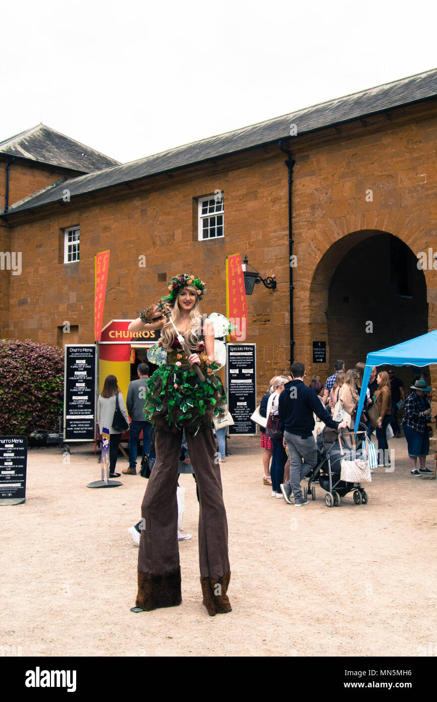 Ragazza su palafitte allo spettacolo di cibo e bevande presso Althorp House Northamptonshire, arco, vecchia tenda da da costruzione in pietra, pantaloni Diana Spencer, fiori di capelli Foto Stock