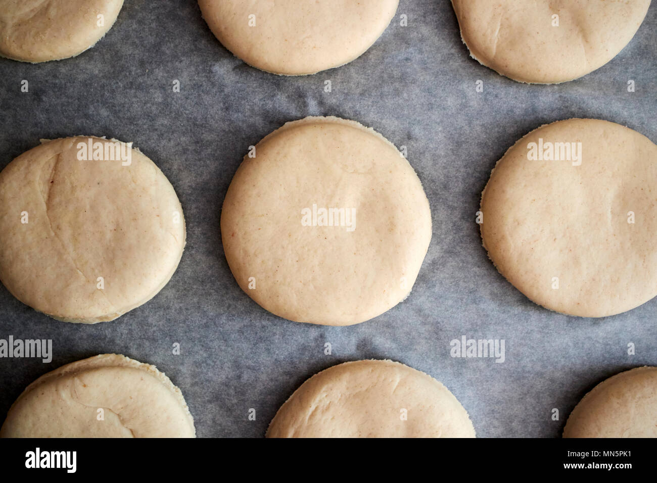 Impasto per muffin inglesi tagliata e lasciata salire sulla carta oleata in una cucina REGNO UNITO Foto Stock