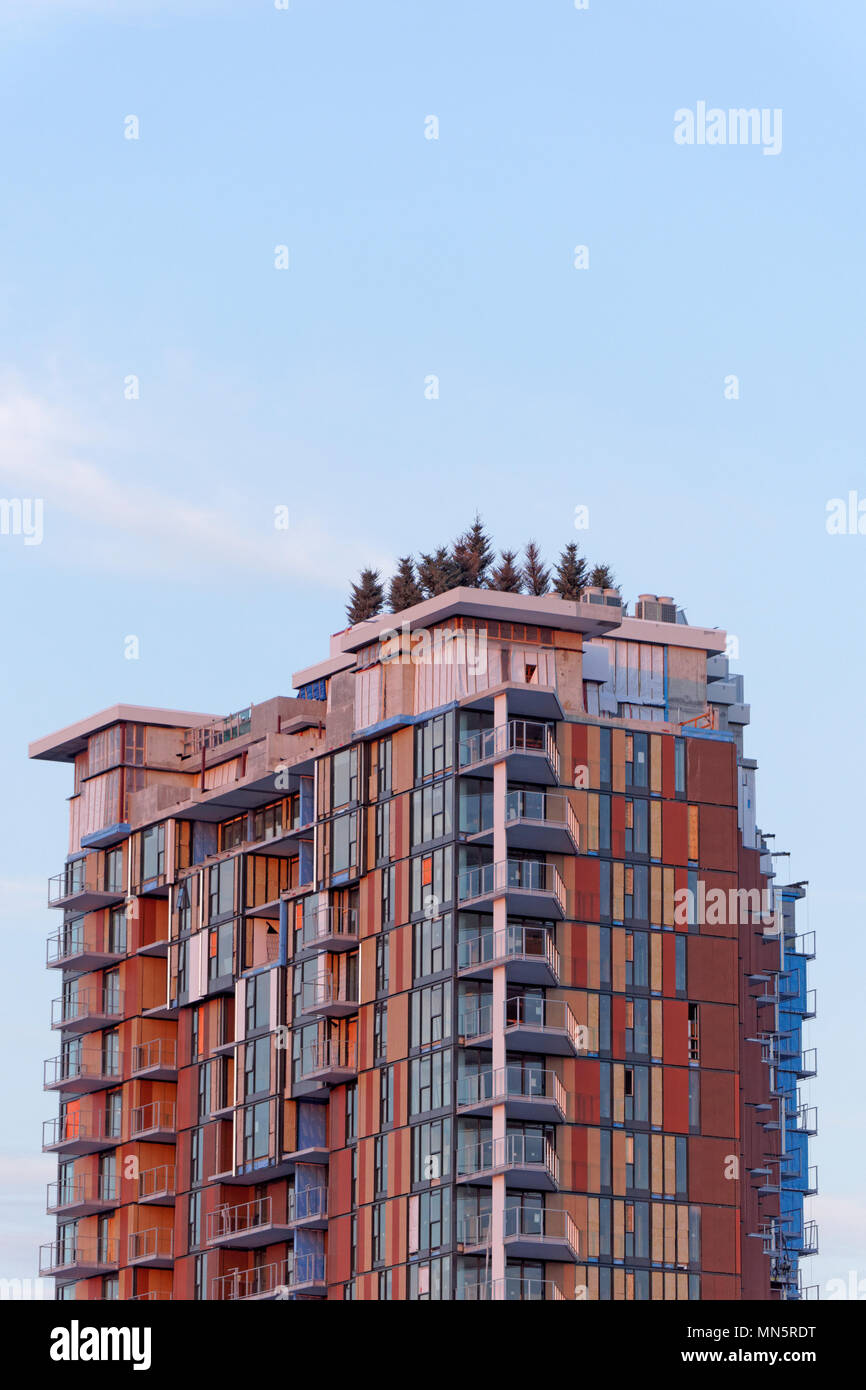 Nuovo complesso residenziale alto edificio residenziale con tetto di vegetazione in Mount Pleasant, Vancouver, BC, Canada Foto Stock