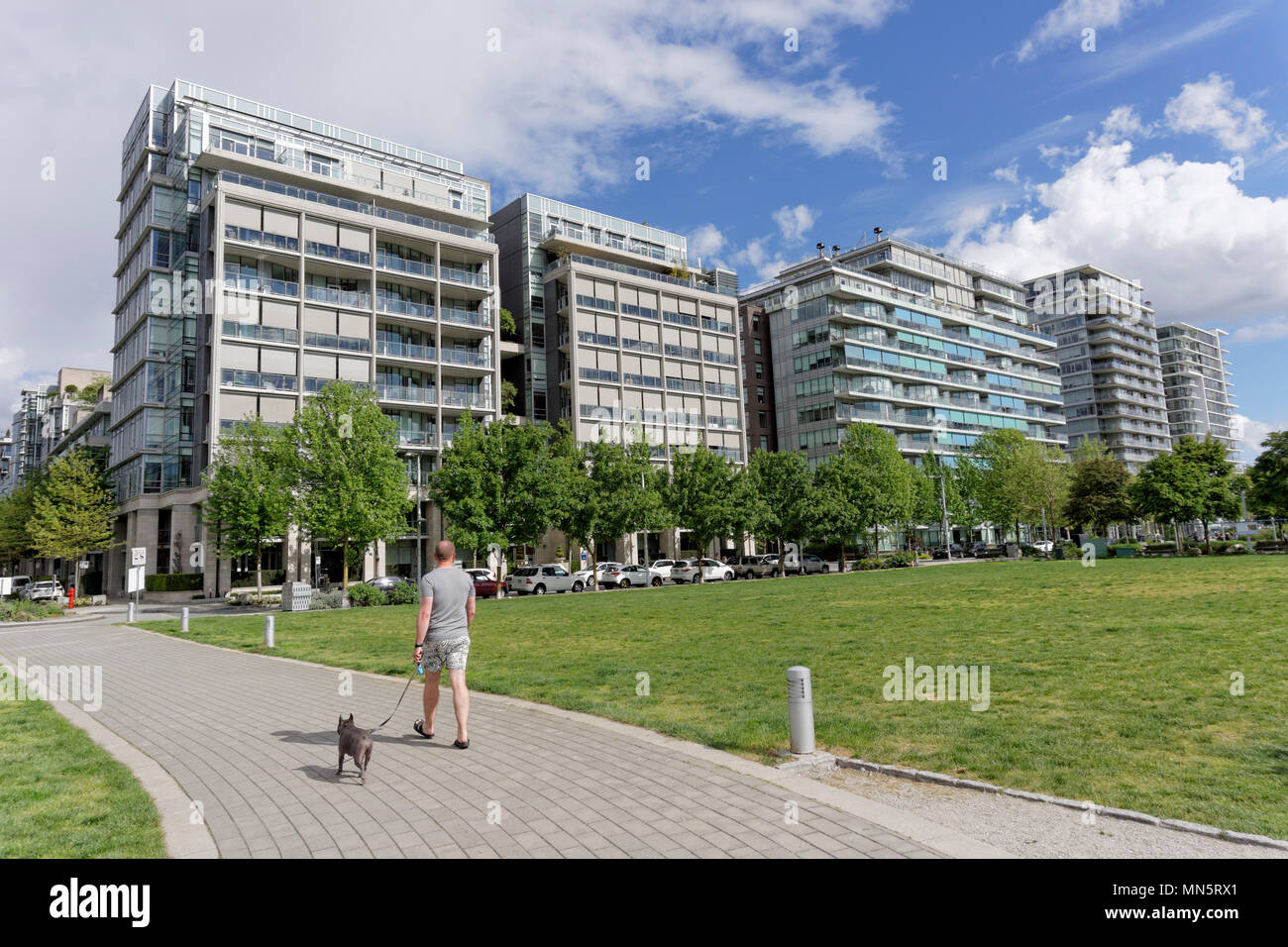 Uomo che cammina il suo cane lungo un sentiero nel villaggio olimpico su False Creek, Vancouver, BC, Canada Foto Stock