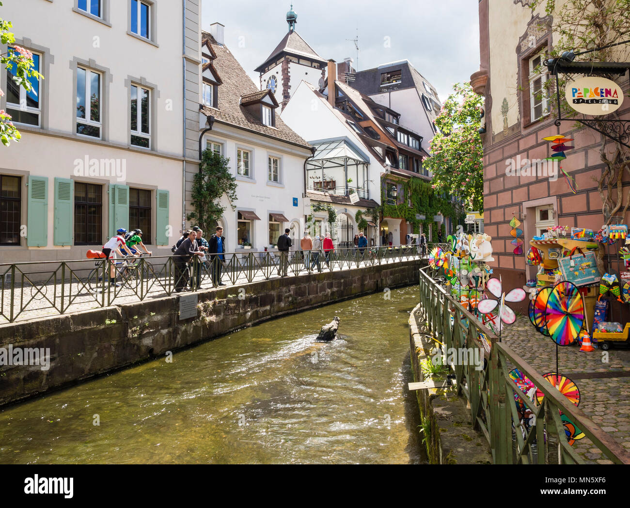 Stream Gewerbebach, scultura coccodrillo, Freiburg, Breisgau, Baden-Würtemberg, Germania Foto Stock