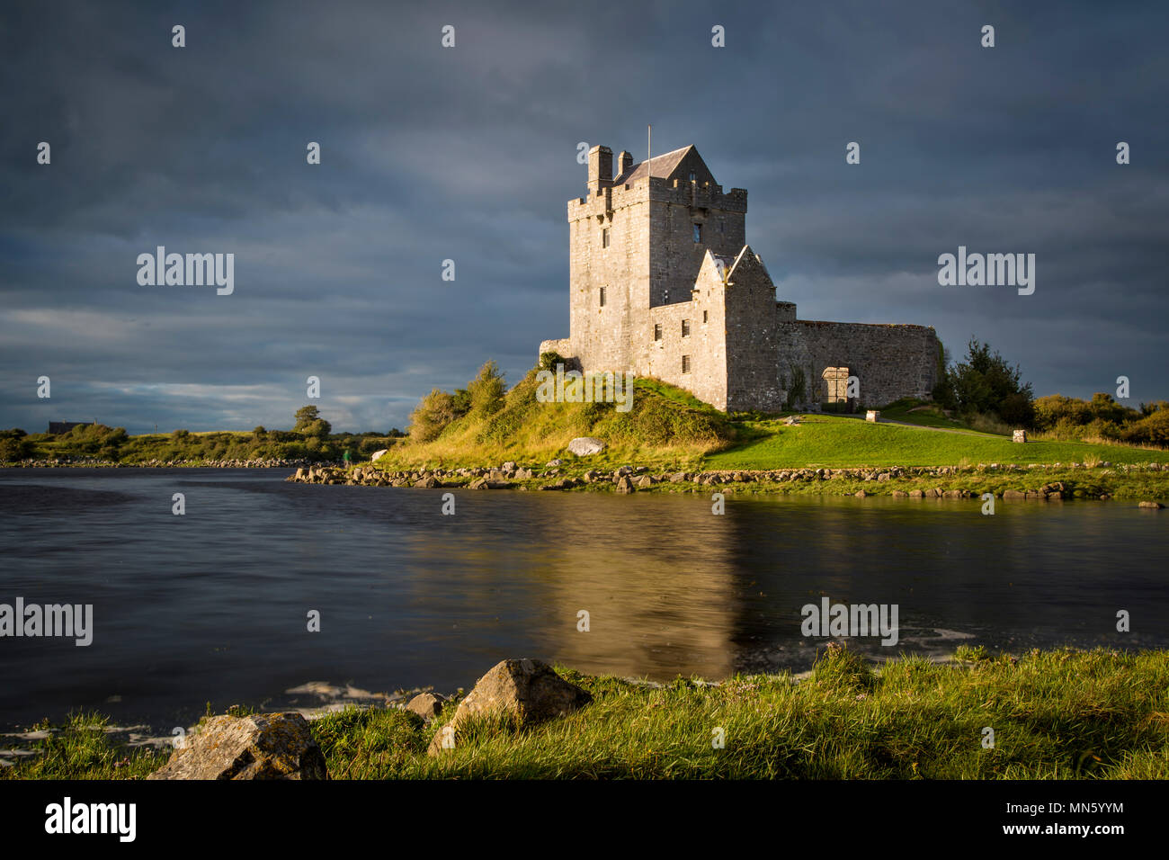 Dunguaire Castle (b. Xvi secolo) vicino a Kinvara, nella contea di Galway, Repubblica di Irlanda Foto Stock
