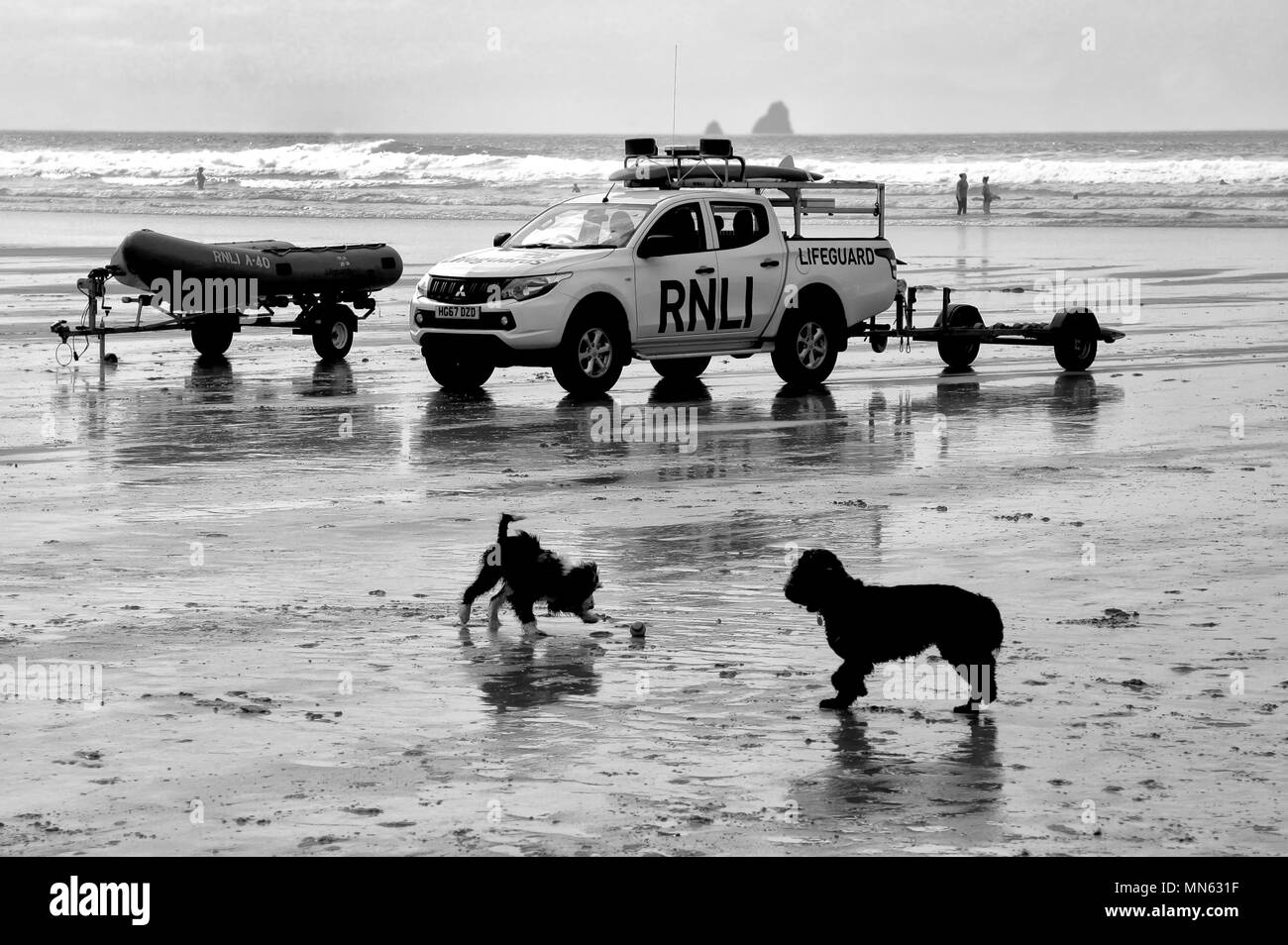 Newquay, Cornwall, Regno Unito - 09 Maggio 2018: bianco e nero colpo di RNLI Lifeguard carrello su un Cornish surf beach a Newquay, con due cani giocando in avanti Foto Stock
