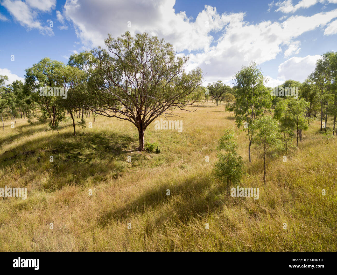 Immagine aerea di una fattoria in Queensland. Foto Stock