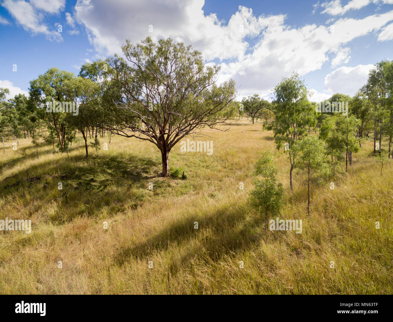 Immagine aerea di una fattoria in Queensland. Foto Stock