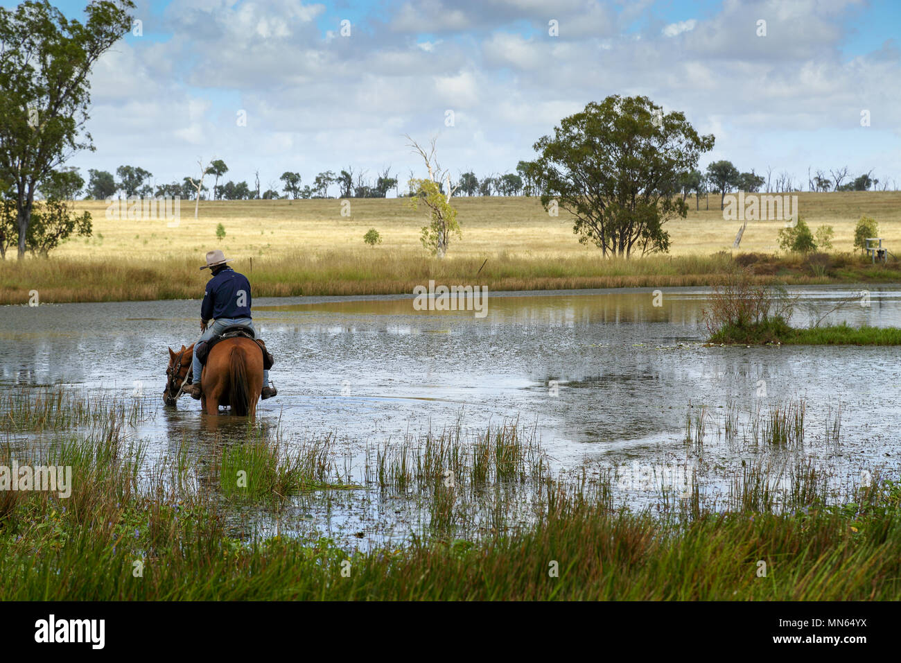 Un uomo sul suo cavallo in una fattoria del lago o dam. Foto Stock