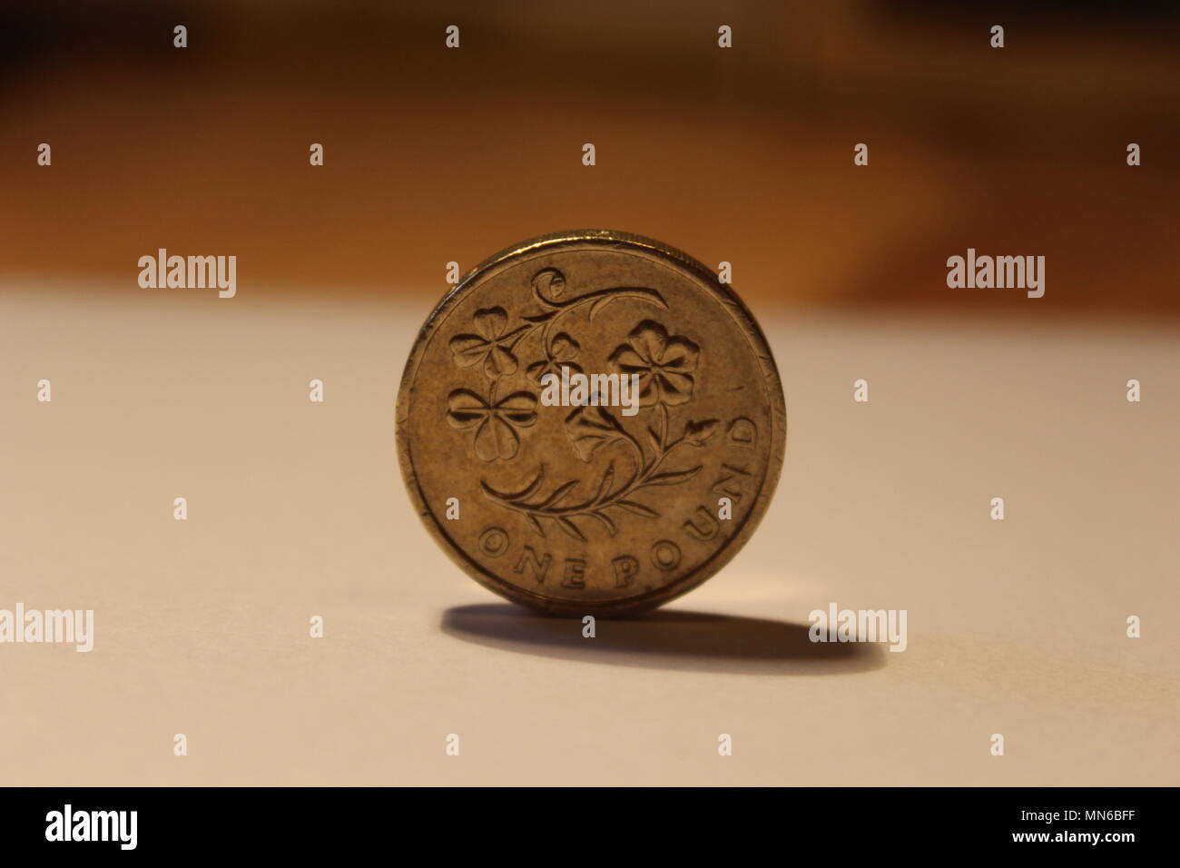 2014 Floral emblema dell Irlanda del Nord una sterlina moneta Foto Stock