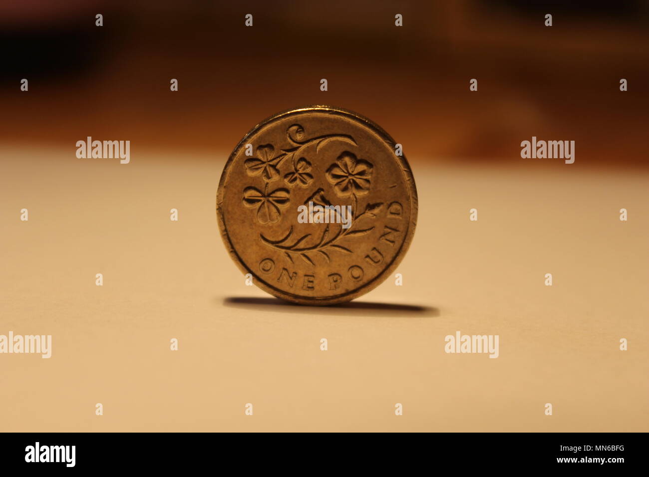 2014 Floral emblema dell Irlanda del Nord una sterlina moneta Foto Stock
