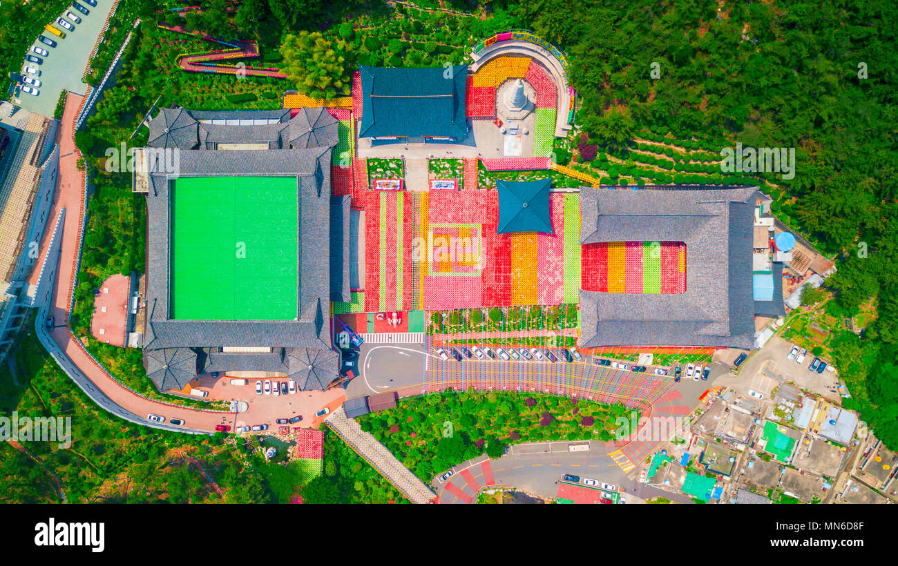 Vista aerea del tempio Samgwangsa in Busan città della Corea del Sud. Migliaia di lanterne di carta decorare Samgwangsa tempio di Busan, in Corea del Sud per il Buddha Foto Stock