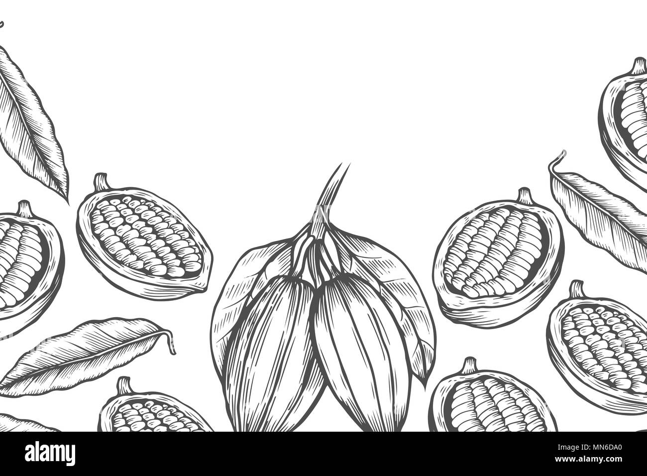 Fava di cacao tree Design modello. Stile inciso illustrazione. Il cioccolato fave di cacao. Illustrazione Vettoriale Illustrazione Vettoriale