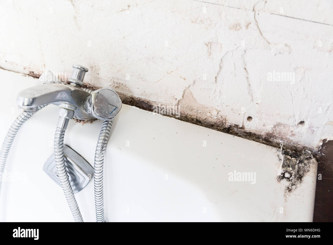 Disgustoso home doccia le piastrelle del bagno di sigillante con funghi e  muffa. Bagno funziona Foto stock - Alamy
