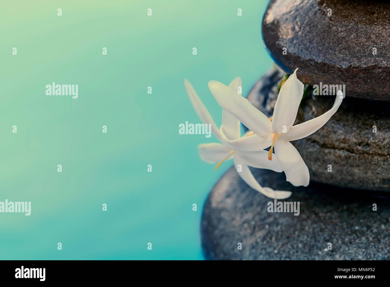 Vintage stile hipster meditazione Zen sfondo, pietre equilibrata con fiore bianco pila sotto l'acqua Foto Stock