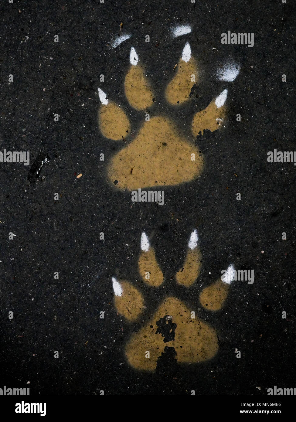 Footprints dipinta su un footpah, Lione, Francia Foto Stock