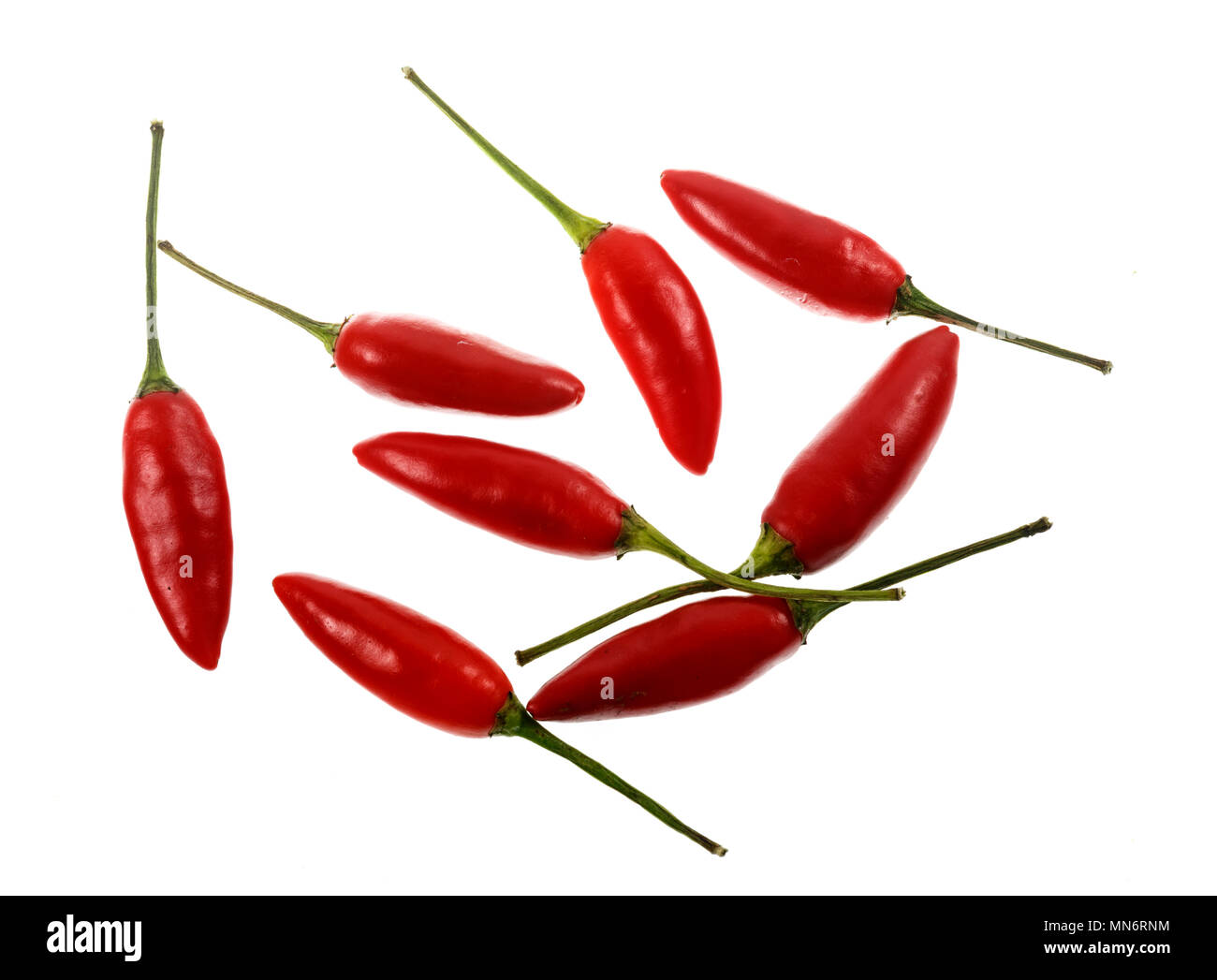 La Birds Eye o peperoncino tailandese, è di piccole dimensioni e peperoncino cultivar della specie Capsicum annuum. È molto calda (piccante) con un aroma floreale, com Foto Stock