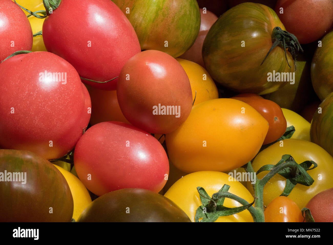 Una selezione delle colorate appena raccolto i pomodori di vari tipi in vendita su una bancarella al mercato di Borough nel centro di Londra. pomodori stripey. Foto Stock