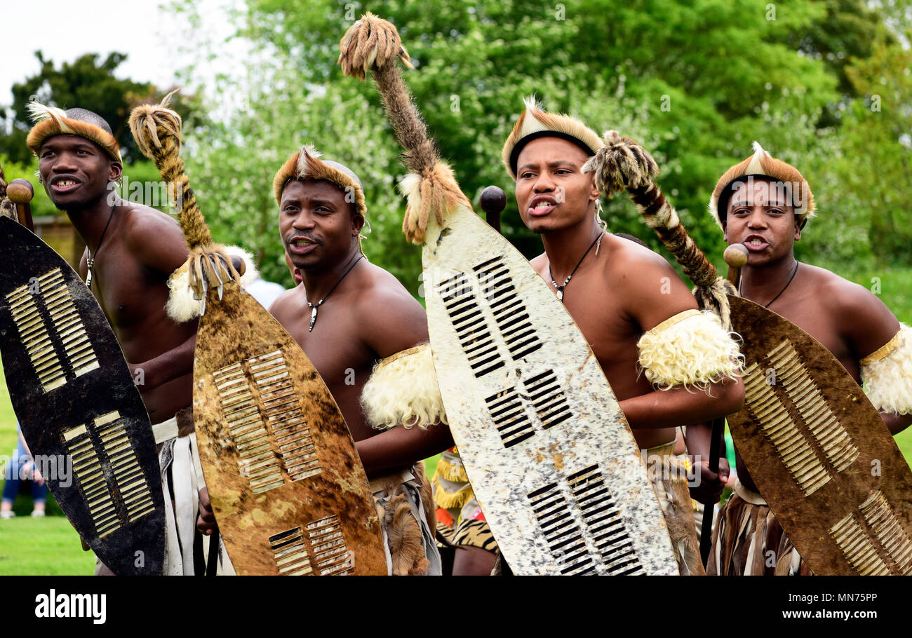 I Lions di Zululand (un mix culturale di musicisti e ballerini da Sud Africa diffondere la cultura Zulu; www.lionsofzululand.org.uk) eseguire durante t Foto Stock