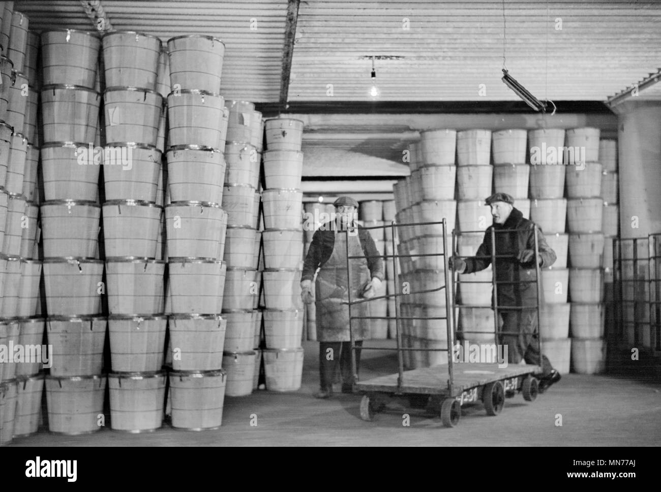 Lavoratori magazzinaggio delle uova nel freddo Magazzino di stoccaggio, Jersey City, New Jersey, USA, Arthur Rothstein per la Farm Security Administration, Gennaio 1939 Foto Stock