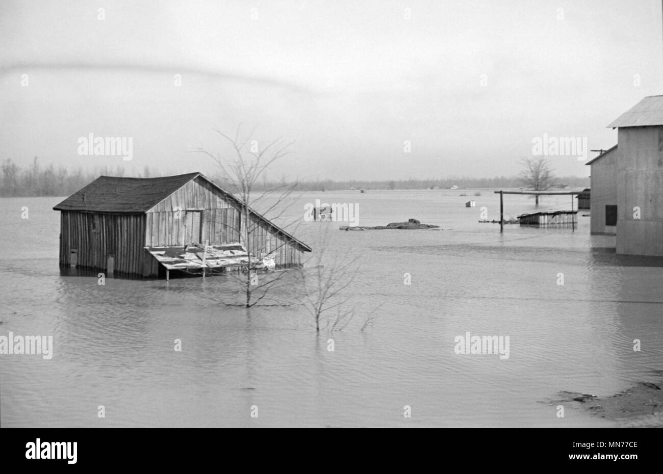 Vista del diluvio dal treno in rotta di Forrest City, Arkansas da Memphis, Tennessee, Stati Uniti d'America, Edwin Locke PER GLI STATI UNITI Amministrazione di reinsediamento, Febbraio 1937 Foto Stock