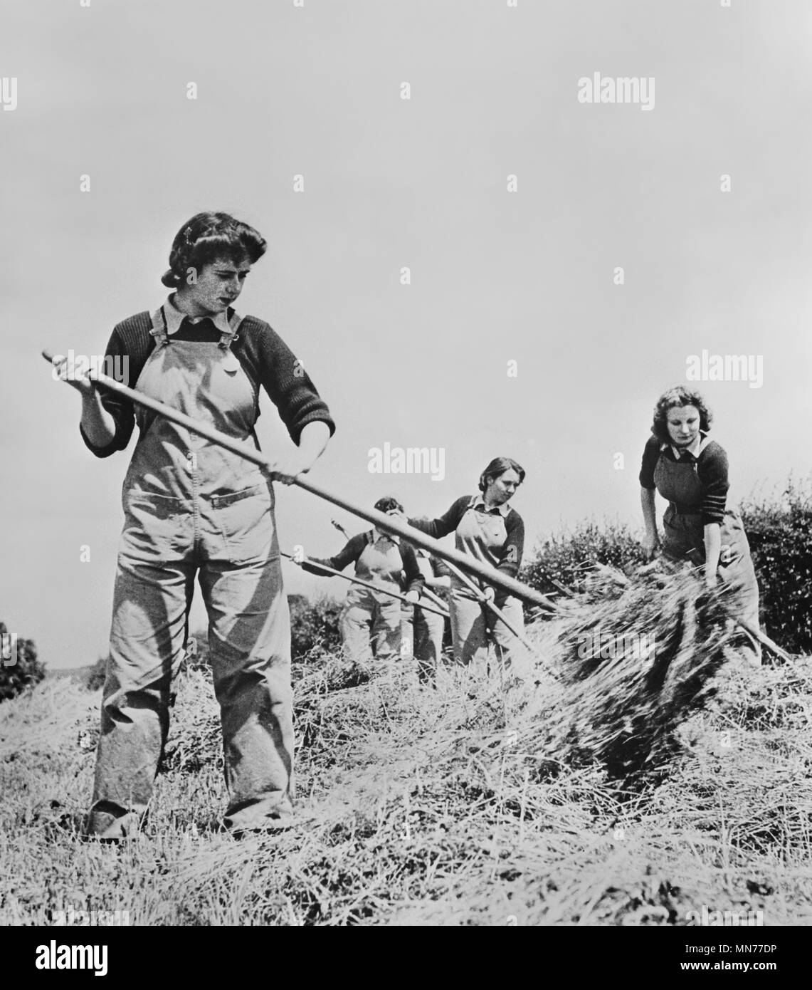 Il gruppo di donne, precedentemente dattilografi, impiegati e Salesgirls, sono ora aiutare durante la stagione di raccolto come parte delle donne inglesi dell'esercito di terra per la fornitura di Inghilterra con tanto bisogno di cibo durante la II Guerra Mondiale, England, Regno Unito e Stati Uniti Ufficio di informazione di guerra, Aprile 1943 Foto Stock