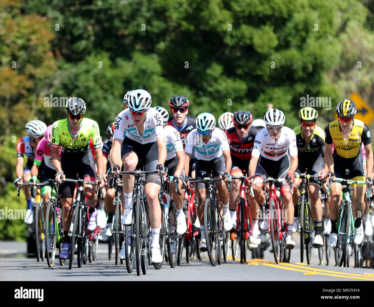 Santa Barbara, California, Stati Uniti d'America. 14 Maggio, 2018. Amgen racers salire su una collina lungo la Highway 192 a Santa Barbara, CA durante il 2018 Amgen tour della California gara. Credito: Daniel Dreifuss/Alamy Live News Foto Stock