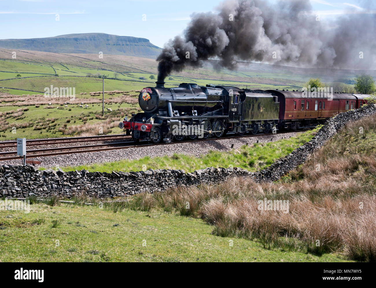 Horton in Ribblesdale, North Yorkshire, Regno Unito. 15 Maggio, 2018. In una luminosa giornata di primavera il vapore Dalesman abbonamenti speciali Pen-y-Ghent picco sul Settle-Carlisle linea ferroviaria vicino a Horton in Ribblesdale, nel Yorkshire Dales National Park, Regno Unito. Il locomotore è un Stanier 8F, numero 48151. Credito: John Bentley/Alamy Live News Foto Stock