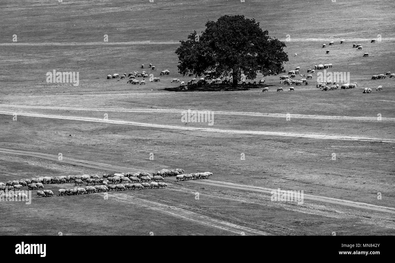 Il minimo del paesaggio in Macin montagne di Dobrogea, Romania Foto Stock
