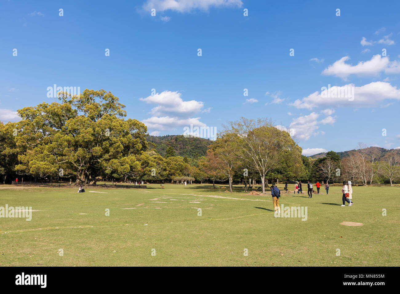 I visitatori nel bellissimo parco naturale di Nara, Giappone Foto Stock