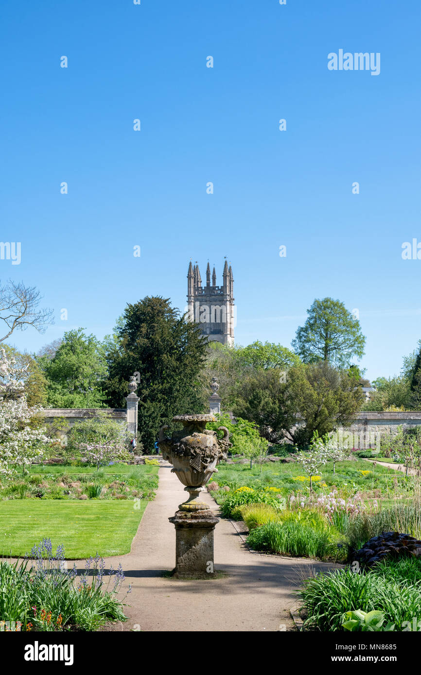 Oxford giardini botanici del sole primaverile con il Magdalen College Chapel in distanza. Oxford, Oxfordshire, Inghilterra Foto Stock