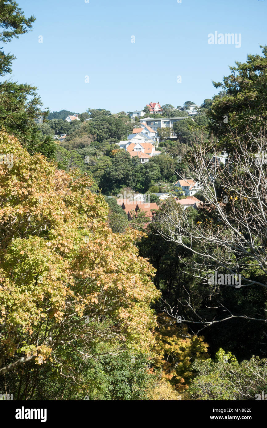 Wellington Botanic Gardens in autunno, Wellington, Nuova Zelanda Foto Stock