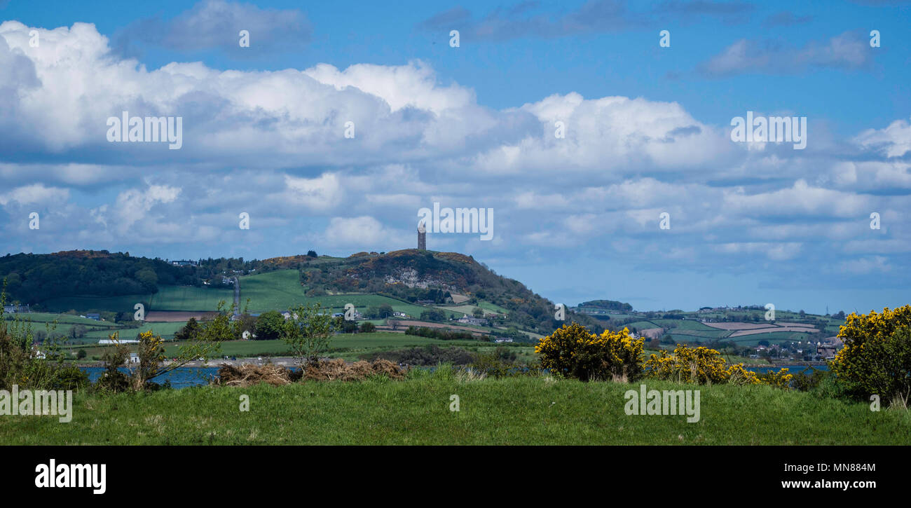 Vista del paesaggio attraverso Strangford Lough verso Scrabo Tower Foto Stock