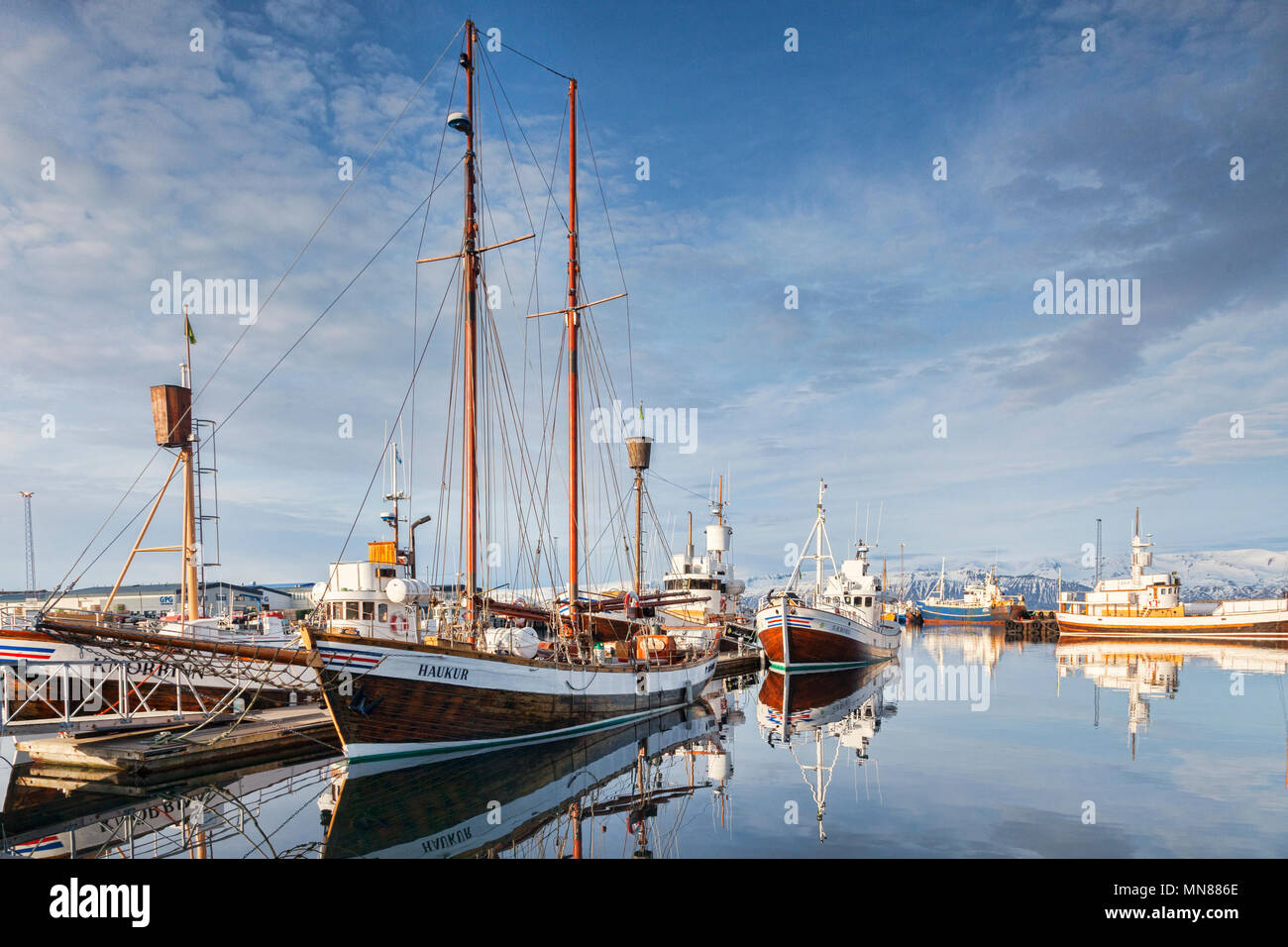 13 Aprile 2018: Husavik, Islanda. Il porto di Husavik nel nord dell'Islanda, con whale-watching navi riflessa nell'acqua calma. Foto Stock