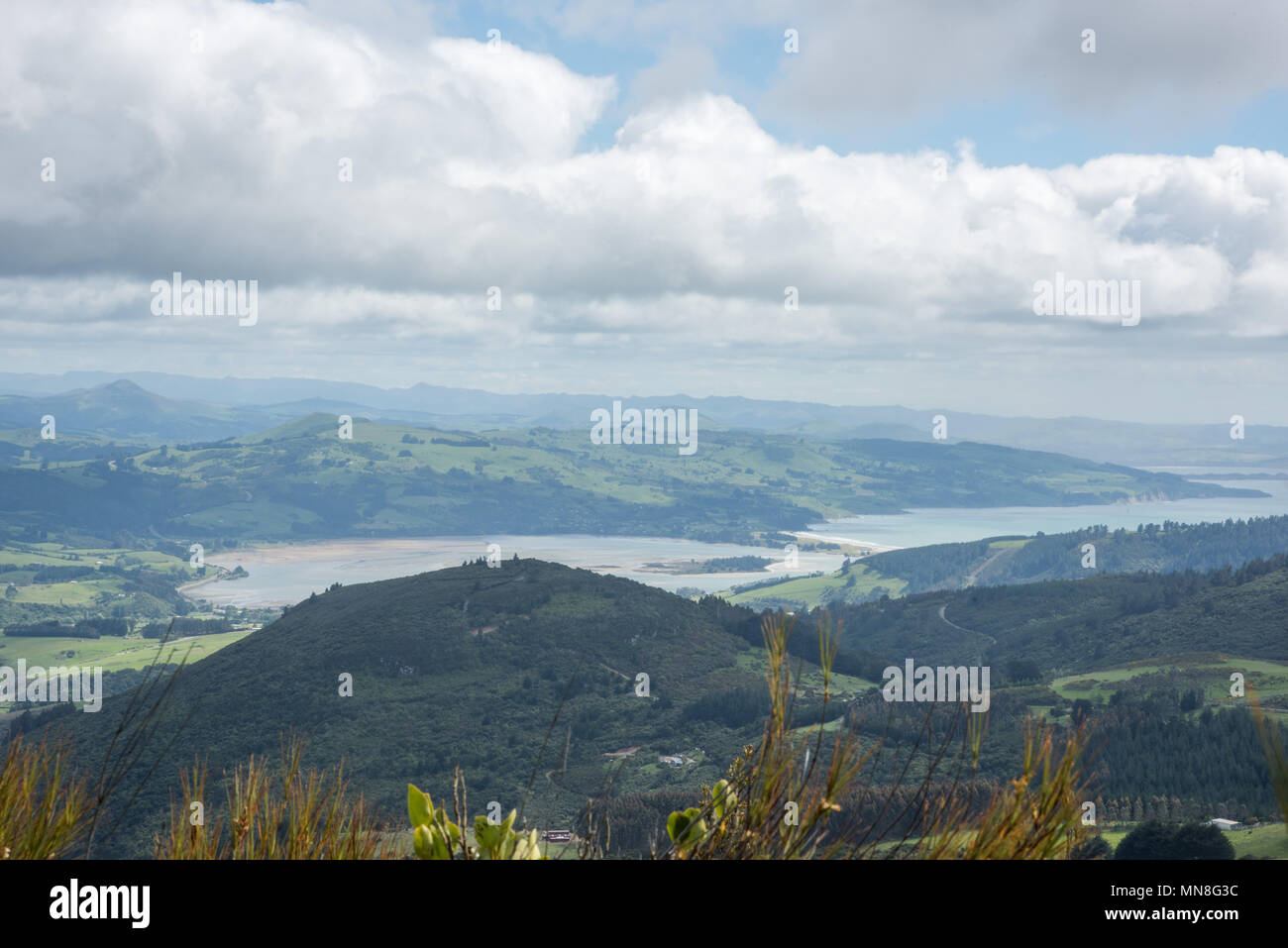 Incredibile vista panoramica che si affaccia sul verde paesaggio di laminazione dalla sommità del Mt. Cargill sotto un cielo blu con nuvole a Dunedin, Nuova Zelanda Foto Stock