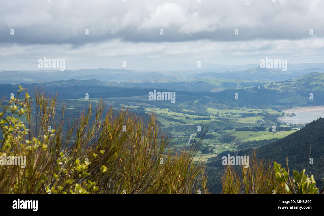 Incredibile vista panoramica che si affaccia sul verde paesaggio di laminazione dalla sommità del Mt. Cargill sotto un cielo blu con nuvole a Dunedin, Nuova Zelanda Foto Stock