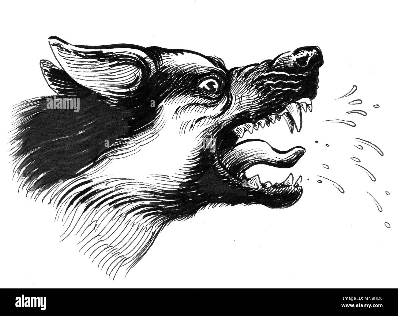 Arrabbiato cane che abbaia. L'inchiostro bianco e nero illustrazione Foto Stock