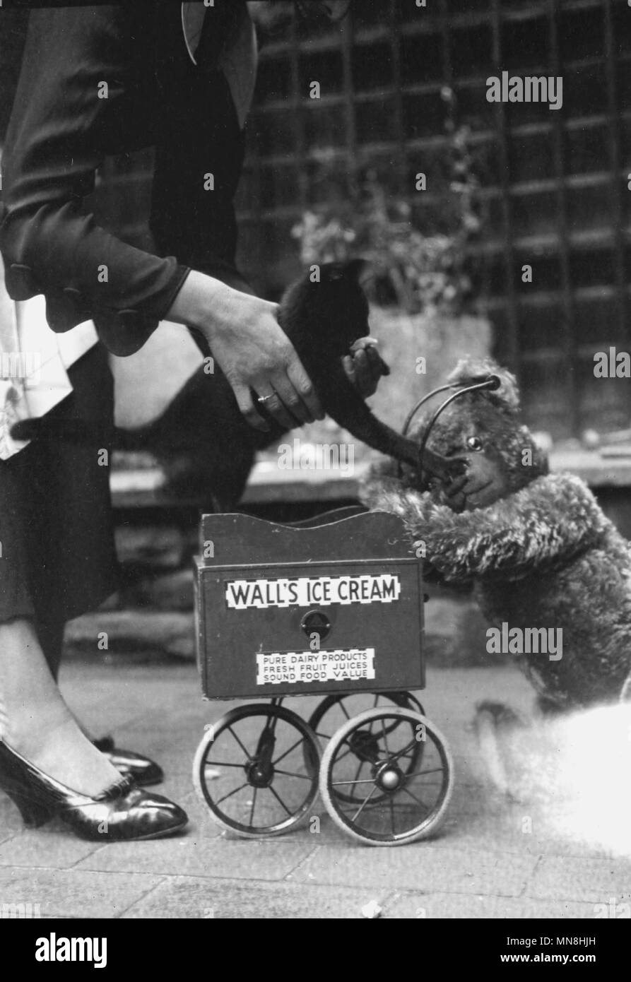 1930s, storico, una signora tenendo un gatto nero che ha una delle sue zampe anteriori su un orsacchiotto di peluche che è appoggiata contro un legno in miniatura a tre ruote carrello giocattolo con un segno per il "muro di Gelati' sul lato di essa. Foto Stock