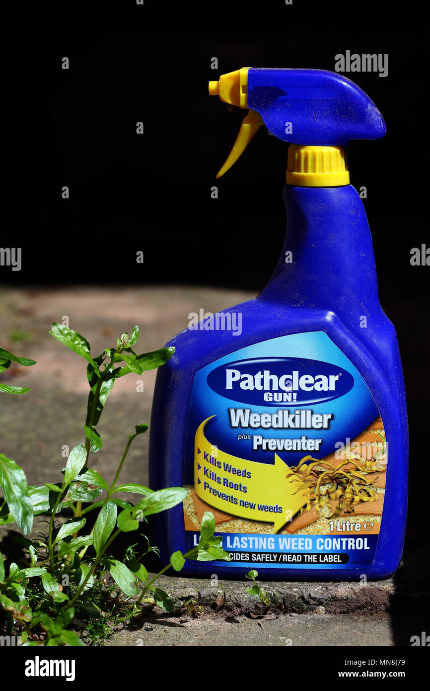 La bottiglia spray di Pathclear weed killer con un erbaccia che cresce su un percorso di giardino, 14 maggio 2018, contenuti editoriali Foto Stock